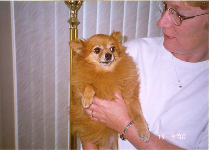 foxy.jpg