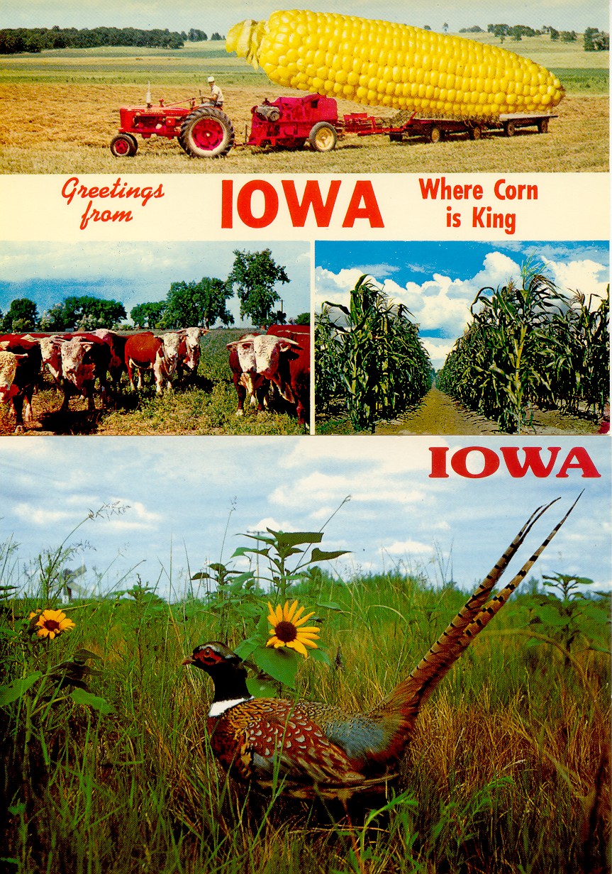 iowa2.jpg