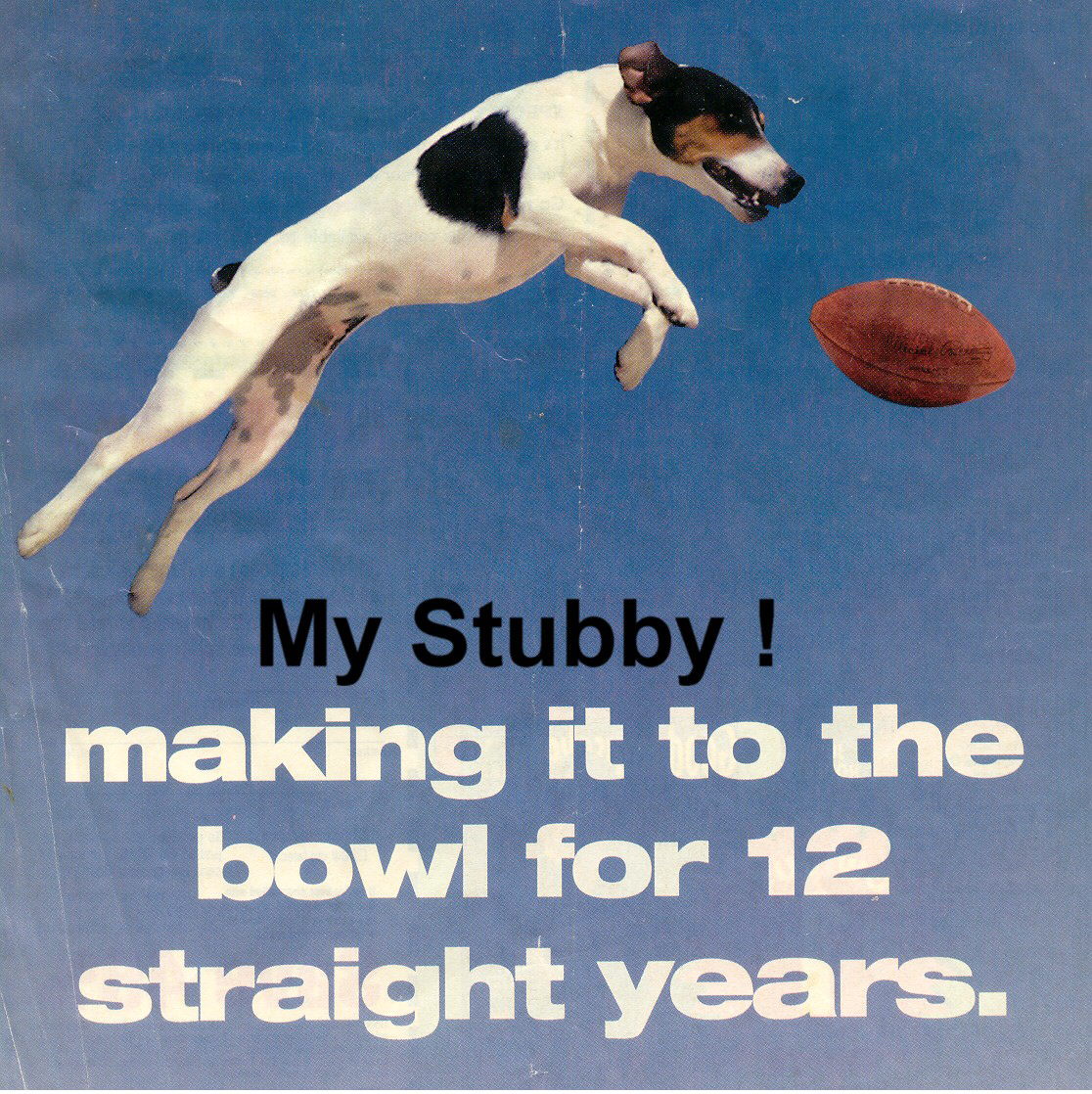 mystubby.jpg