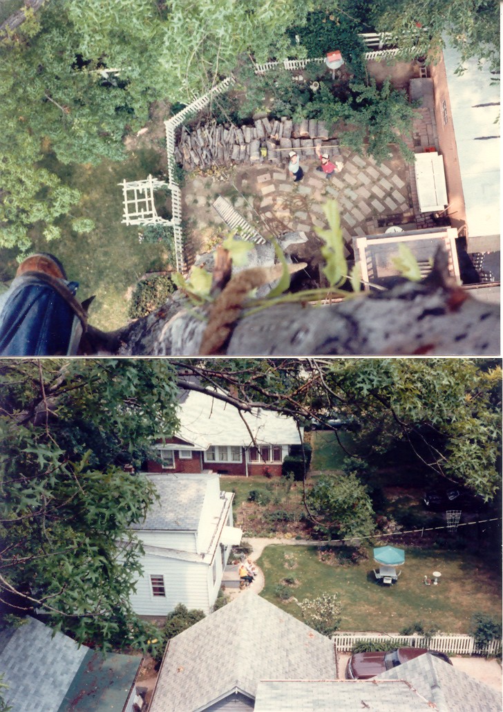 topview.jpg