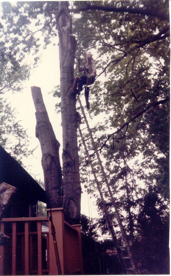 tree_man_me.jpg