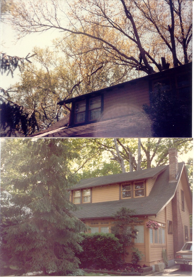 treehouse.jpg